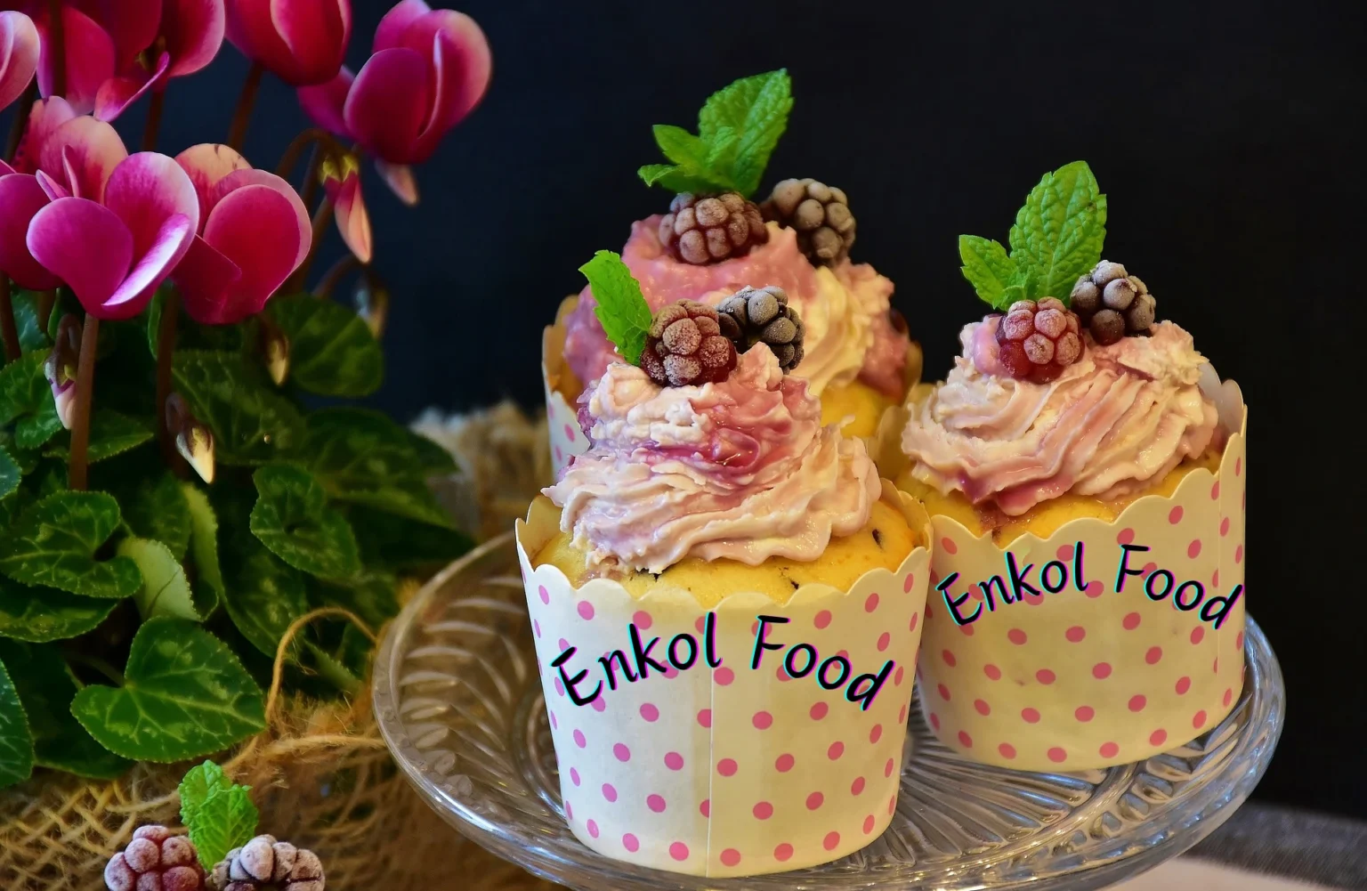 Enkol Food